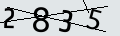 verifycode
